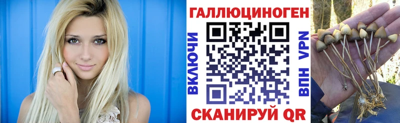 Галлюциногенные грибы MAGIC MUSHROOMS  Беслан 