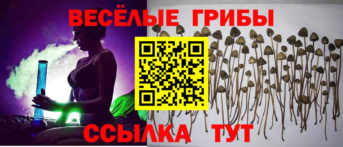 Галлюциногенные грибы Cubensis  Беслан 