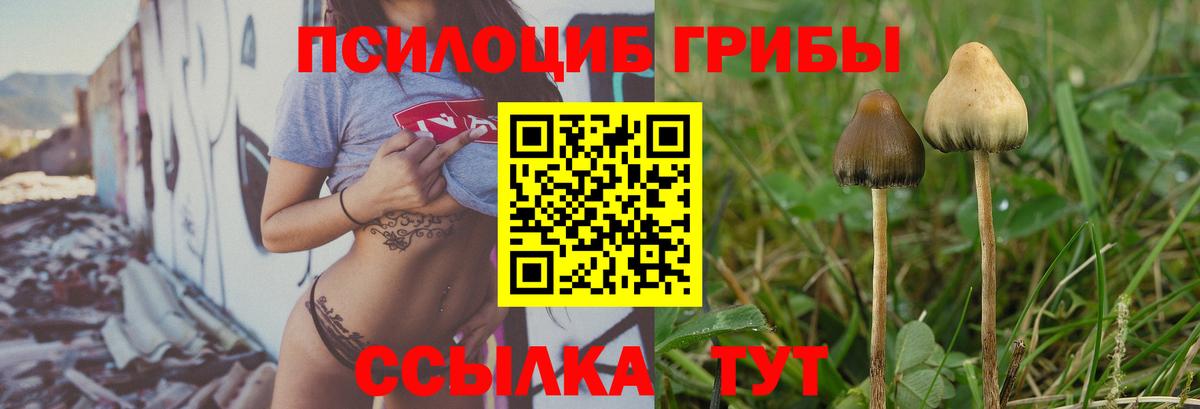 Псилоцибиновые грибы Psilocybe  Галлюциногенные грибы MAGIC MUSHROOMS  Беслан  Вход с VPN 