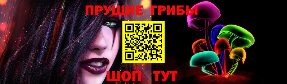 Галлюциногенные грибы Psilocybine cubensis Беслан